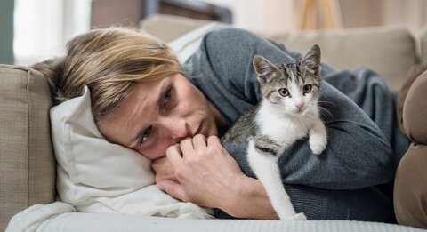 گربه خانگی چه بلایی به سر یک خانواده می‌آورد؟