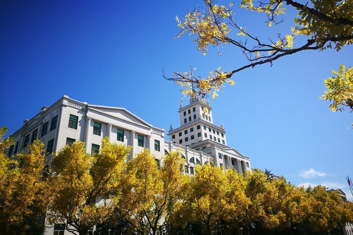 چین دانشجویان دکتری را غافلگیر کرد: پایان‌نامه لازم نیست!