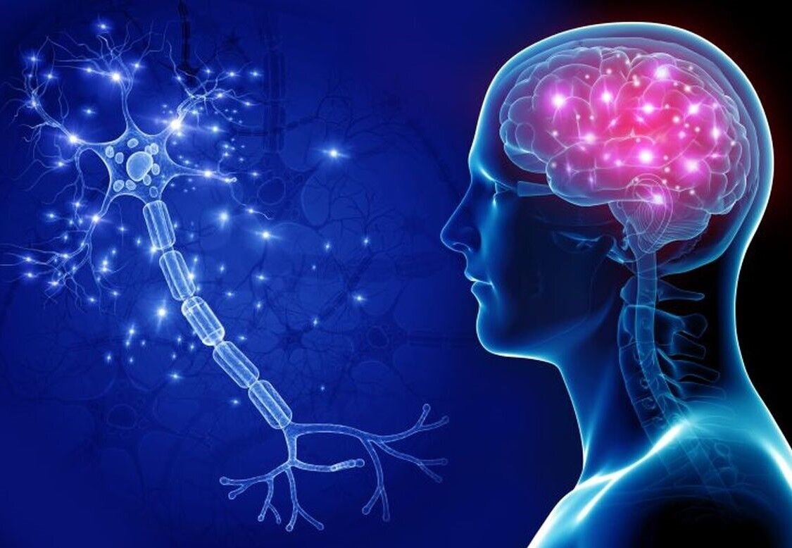 افراد عضلانی مغز جوان‌تری دارند