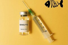 واکسن ضد پیری اختراع شد! +جزئیات