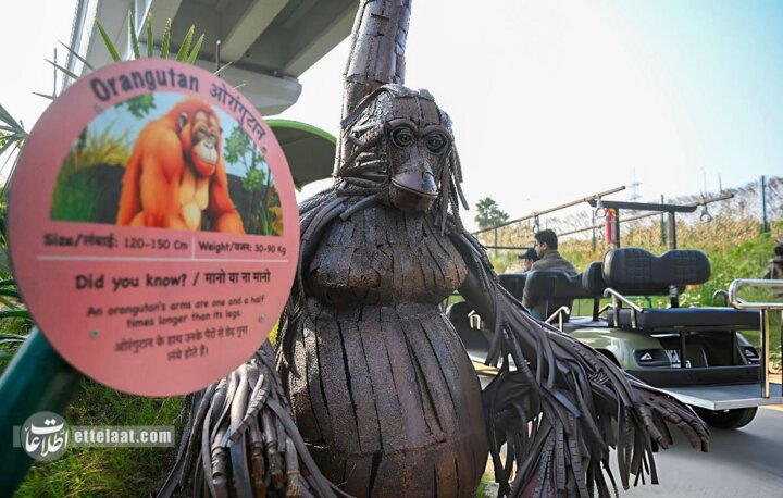 باغ وحش آهنی