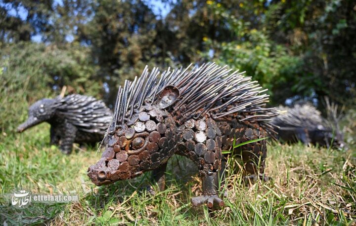 باغ وحش آهنی