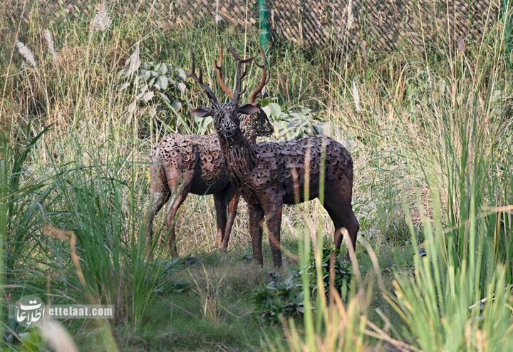 باغ وحش آهنی