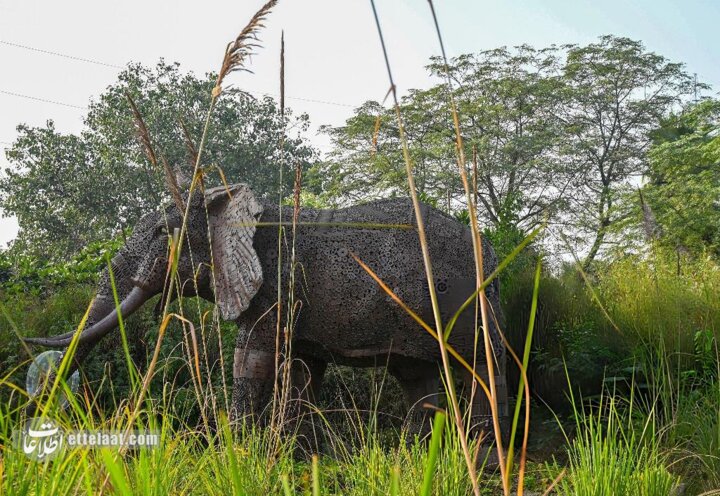 باغ وحش آهنی