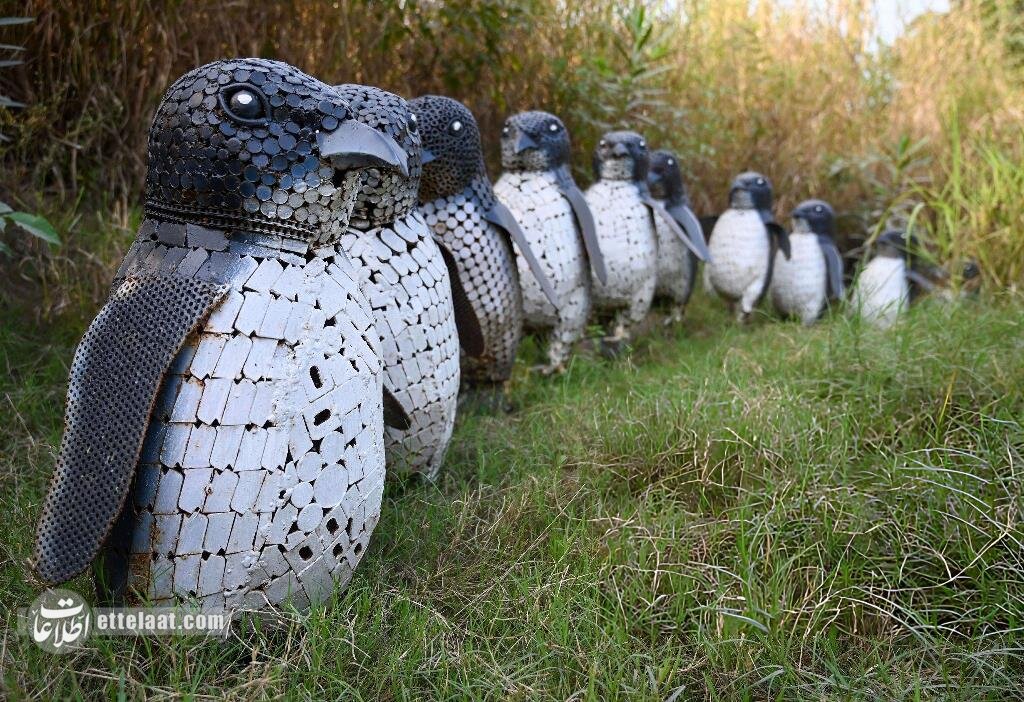 تصاویر| حیوانات این باغ وحش آهنی هستند
