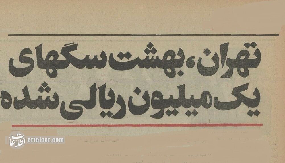 معرفی می‌کنم ملوس نیک‌اندیش، سگ من! +عکس