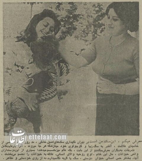 ۵۰ سال پیش سگهای خانگی تهران چه وضعی داشتند؟ +عکس