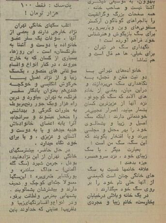 ۵۰ سال پیش سگهای خانگی تهران چه وضعی داشتند؟ +عکس