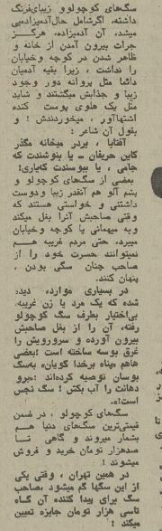 ۵۰ سال پیش سگهای خانگی تهران چه وضعی داشتند؟ +عکس