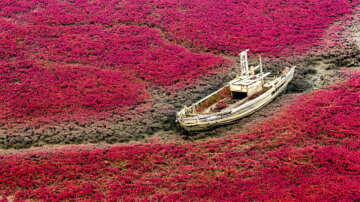 تصاویر| ساحل رودخانه زرد چین سرخ شد