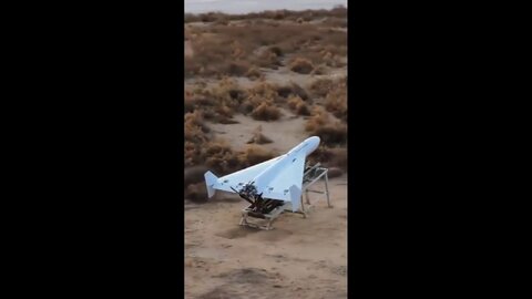 کپی پهپاد ایرانی توسط چینی‌ها؛ محبوبیت «شاهد» به شرق آسیا رسید +ویدیو