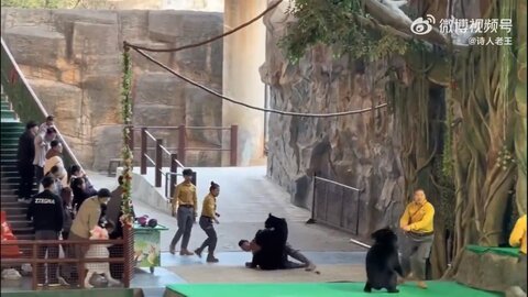 ۴۶ ثانیه فیلم نفس‌گیر از حمله خرس به کارگر باغ‌وحش!