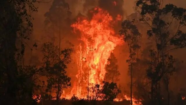 آتش به جان جنگل‌های استرالیا افتاد