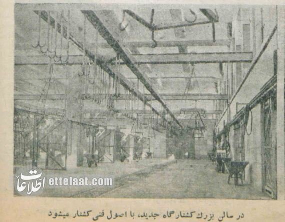 کشتارگاه تهران ۷۰ ساله شد! +عکس‌های تاریخی از مکانی که وجود ندارد