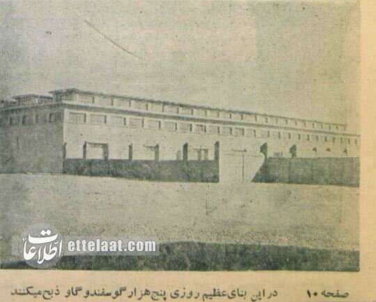 کشتارگاه تهران ۷۰ ساله شد! +عکس‌های تاریخی از مکانی که وجود ندارد