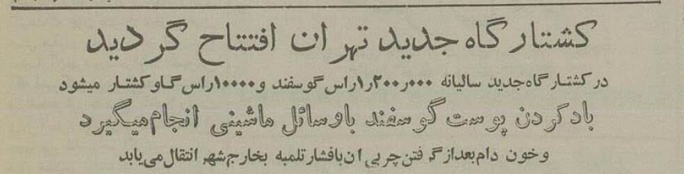 کشتارگاه تهران ۷۰ ساله شد! +عکسهای تاریخی از مکانی که وجود ندارد