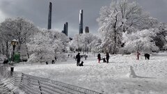 با این ویدیو از قدم زدن در پارک شهر برفی نیویورک لذت ببرید