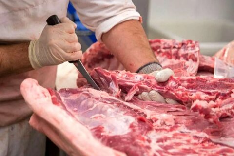 جزئیات تکان‌دهنده از کشف ۳ تن گوشت الاغ در تهران +ویدیو