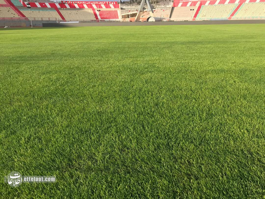 اتفاق باورنکردنی در ورزشگاه یادگار امام تبریز؛ این تصاویر را تماشا کنید