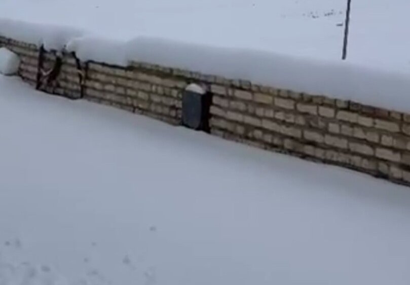 ارتفاع برف در این منطقه به ۵۰سانتی‌ متر رسید +ویدیو