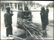 عکس‌های تماشایی از آخرین هیزم‌فروشان تهران را ببینید!