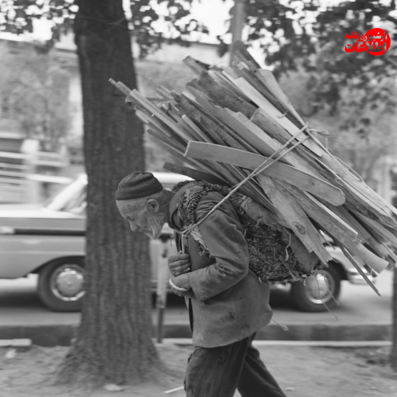 عکس‌های تماشایی از آخرین هیزم‌فروشان تهران را ببینید!