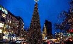 درخت کریسمس انگلیسی ها رکورد زد +ویدیو