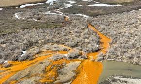 وقتی رودخانه‌های آلاسکا نارنجی می‌شود +ویدیو