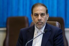 برای پیشگیری ازجرائم دیده‌بان ویژه تشکیل می‌شود