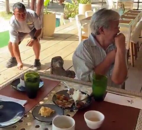 مارمولک غول پیکر مهمان و غذای مهمان را لیس زد + ویدیو