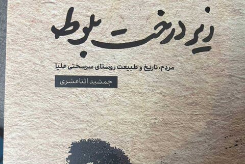 ریشه ایرانی هفت سامورایی؛ یادداشتی بر کتاب «زیر درخت بلوط»