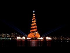 درخت کریسمس مکزیکی‌ها سوخت +ویدیو