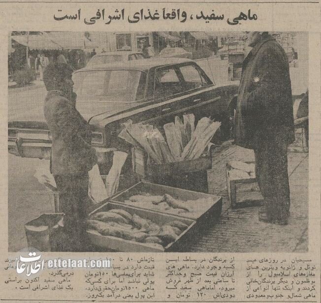 ۵۰ سال پیش کف خیابانهای تهران چه خبر بود؟ +عکس