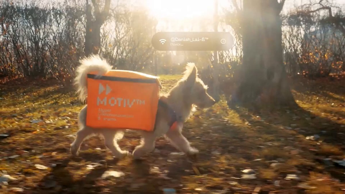 ایده جالب روس‌ها برای به سرپرستی گرفتن سگ‌ها +ویدیو