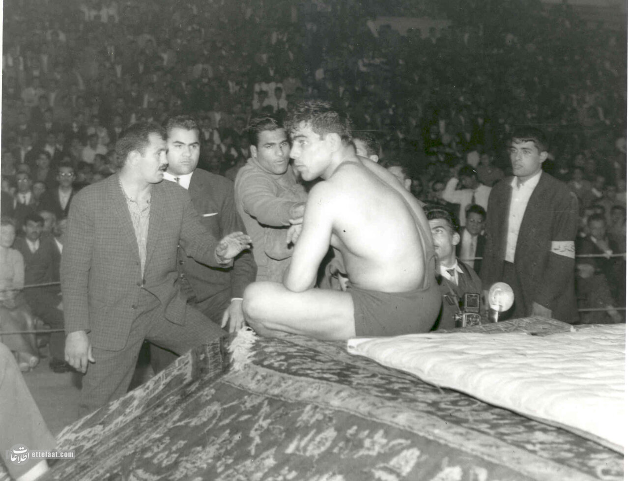 ۲۰ عکس تماشایی از جهان پهلوان تختی که تاکنون ندیدهاید!