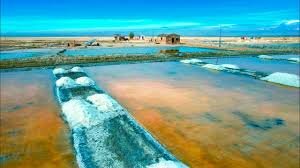 ویدیویی از شگفتی طبیعی و منبع حیاتی نمک هند را ببینید