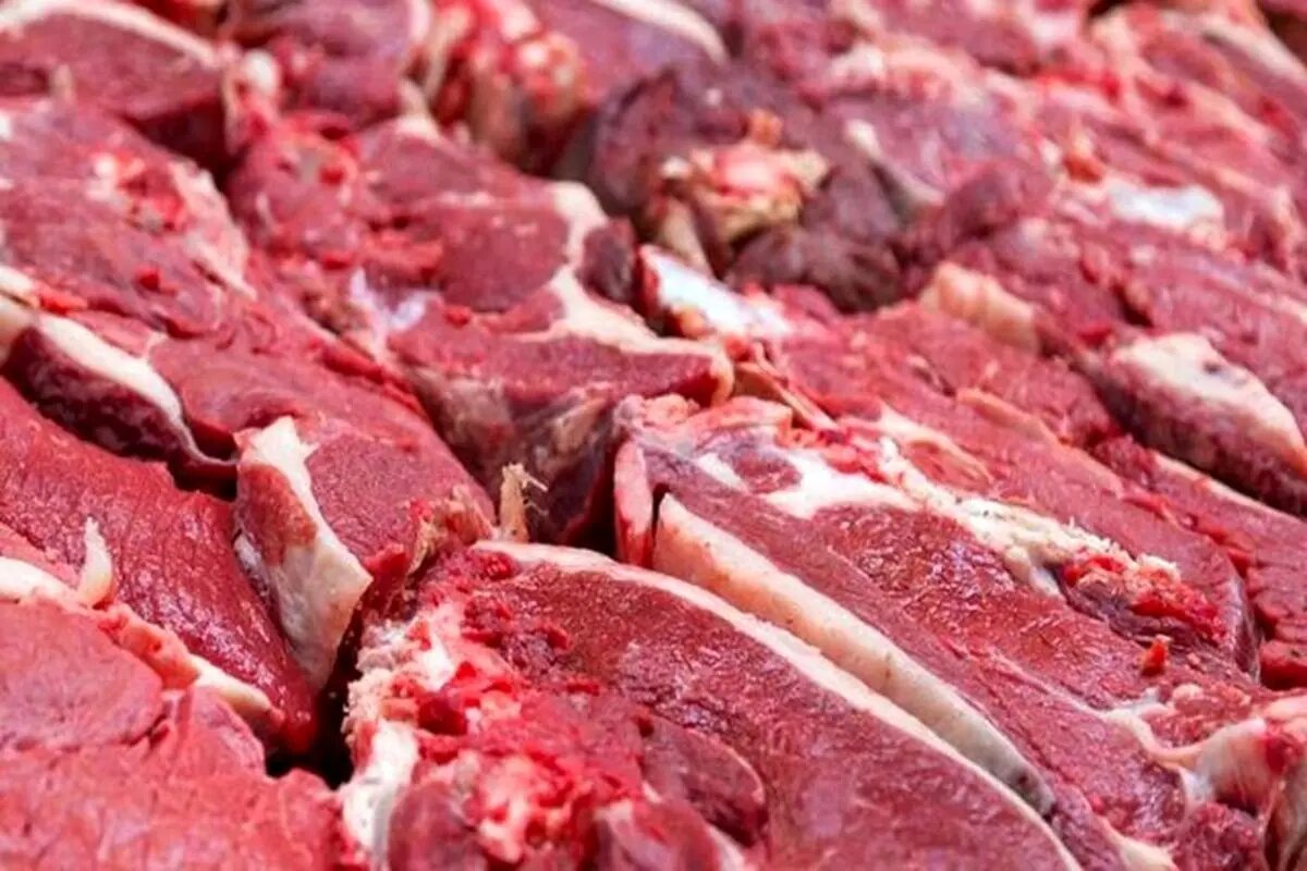 قیمت گوشت قرمز امروز دوشنبه ۲۰ مهر ۱۴۰۵ اعلام شد/ راسته گوسفندی چند شد؟ +جدول