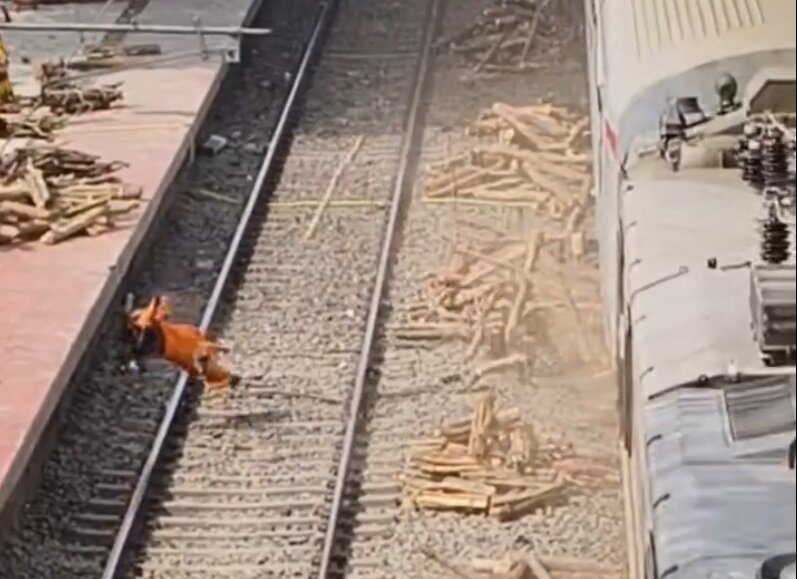 ویدیویی از آسیب شدید بدشناس‌ترین زن هند در ریل قطار منتشر شد