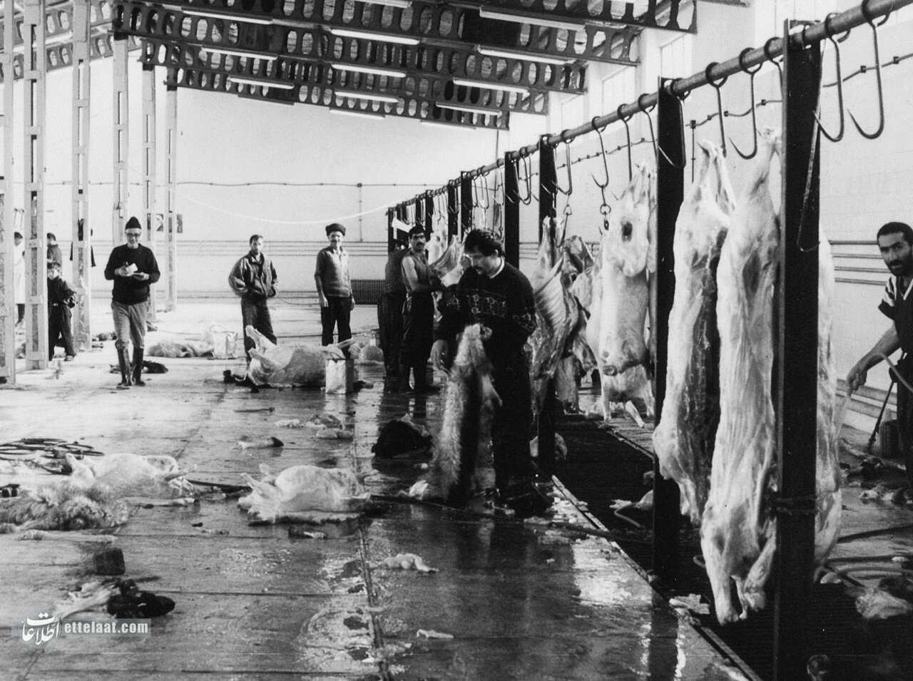 بوی تعفن کشتارگاه تهران مردم را عاصی کرد! +جزئیات