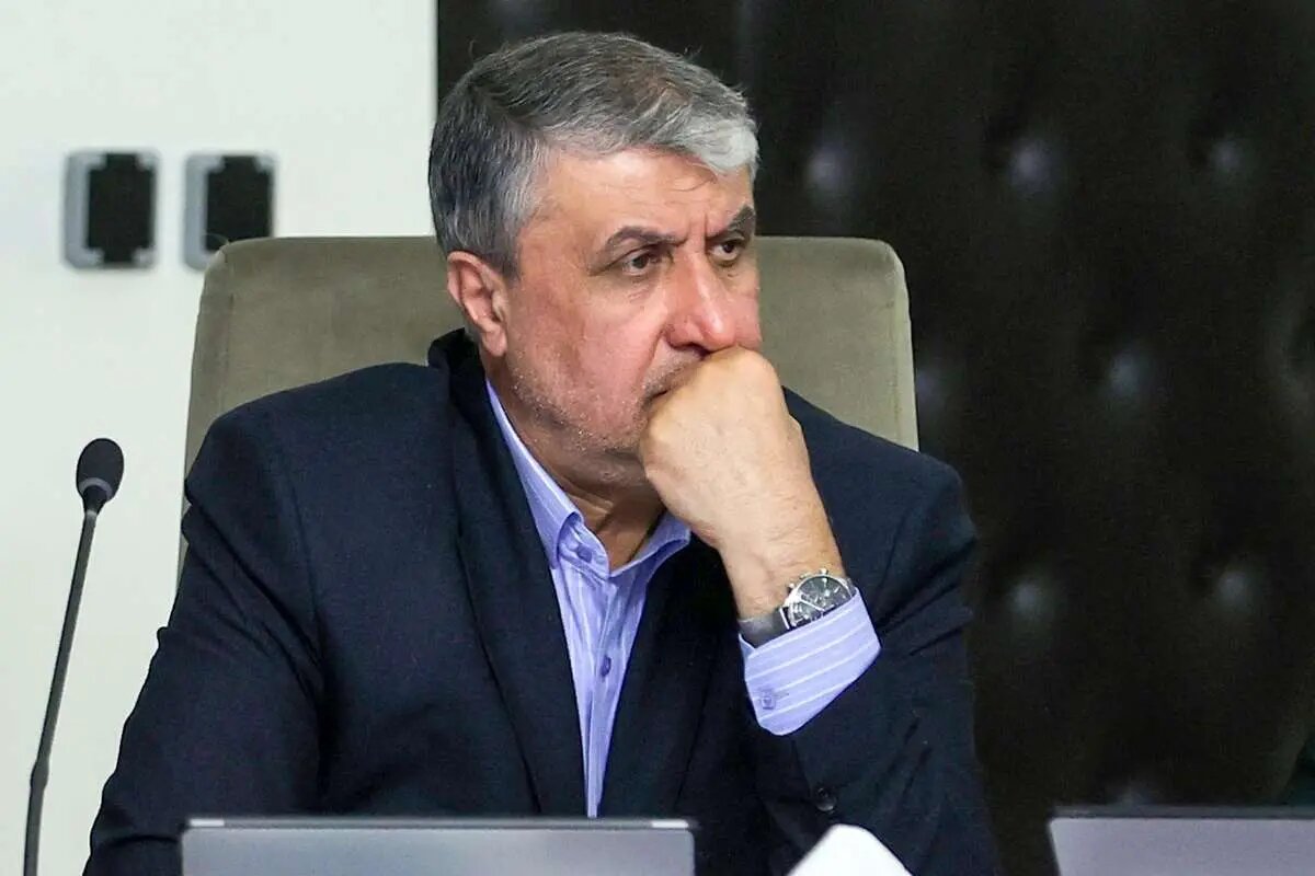 محمد اسلامی، رئیس سازمان انرژی اتمی