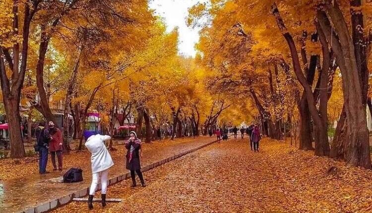 این چهارباغ تماشایی نیست