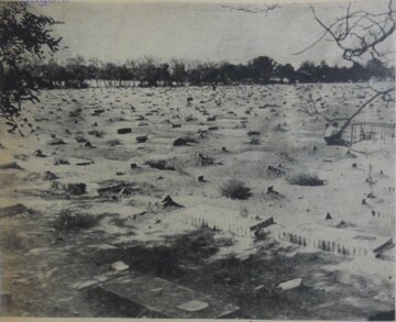 آمار درگذشتگان دی ماه تهران +عکس گورستان مسگرآباد