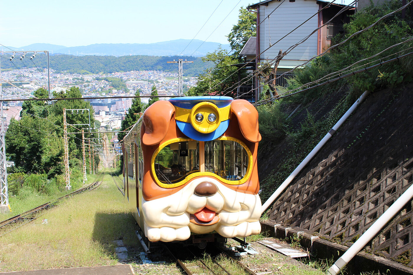 قطار گربه‌ای محبوب ژاپن را ببینید!