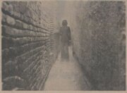 بدترین کوچه‌های ایران معرفی شدند! +عکس و جزئیات