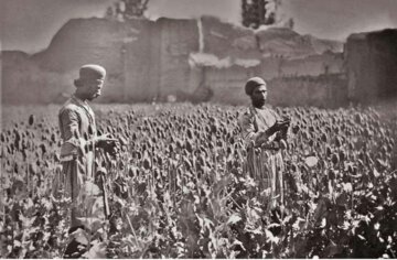 قیمت دولتی تریاک و شیره اعلام شد! +جزئیات