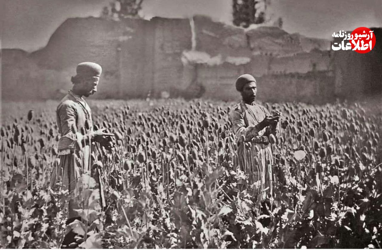 قیمت دولتی تریاک و شیره اعلام شد! +جزئیات