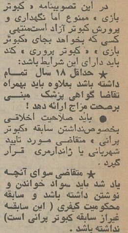 مصوبه کفتربازی در هیات دولت تصویب شد! +عکس