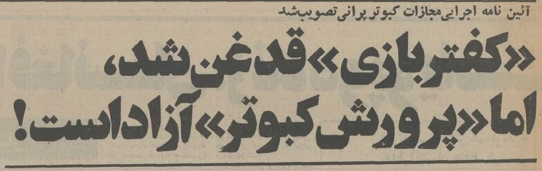 مصوبه کفتربازی در هیات دولت تصویب شد! +عکس