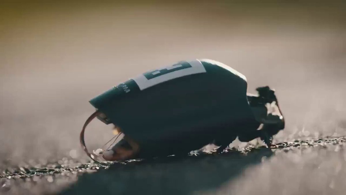 آلمان‌ها از سوسک‌های جاسوسی رونمایی کردند! +ویدیو