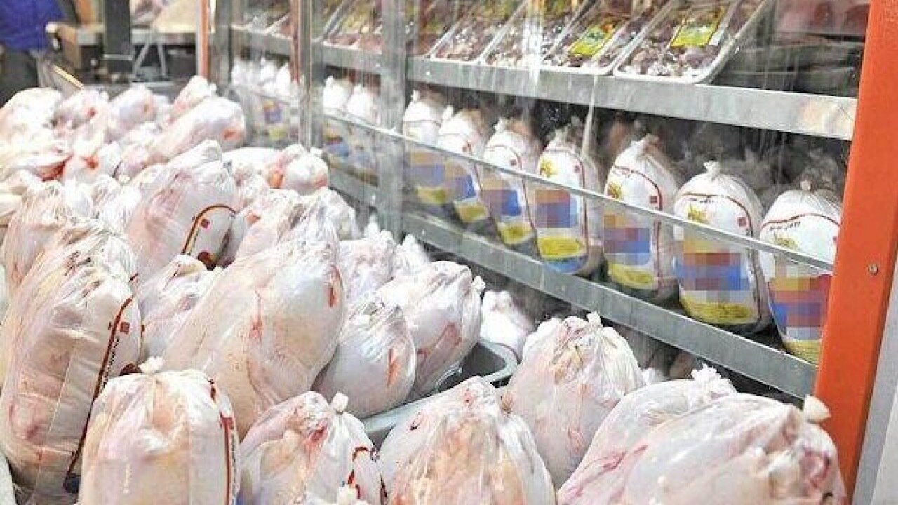 وزیر جهادکشاورزی: قیمت مرغ روند افزایش غیرمتعارف ندارد